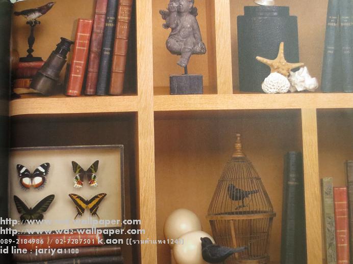 วอลเปเปอร์ติดผนัง ลายชั้นวางหนังสือ ตกแต่งห้องสมุด ห้องทำงาน ลายหนังสือพิมพ์