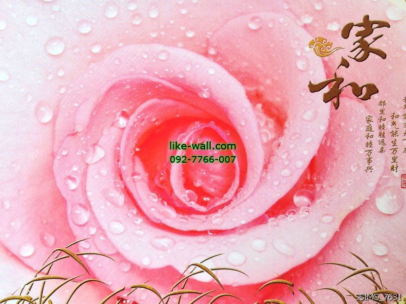 วอลเปเปอร์ติดผนังลาย ดอกกุหลาบ สีชมพู