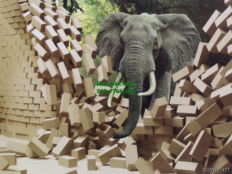 วอลเปเปอร์ติดผนังลาย elephant