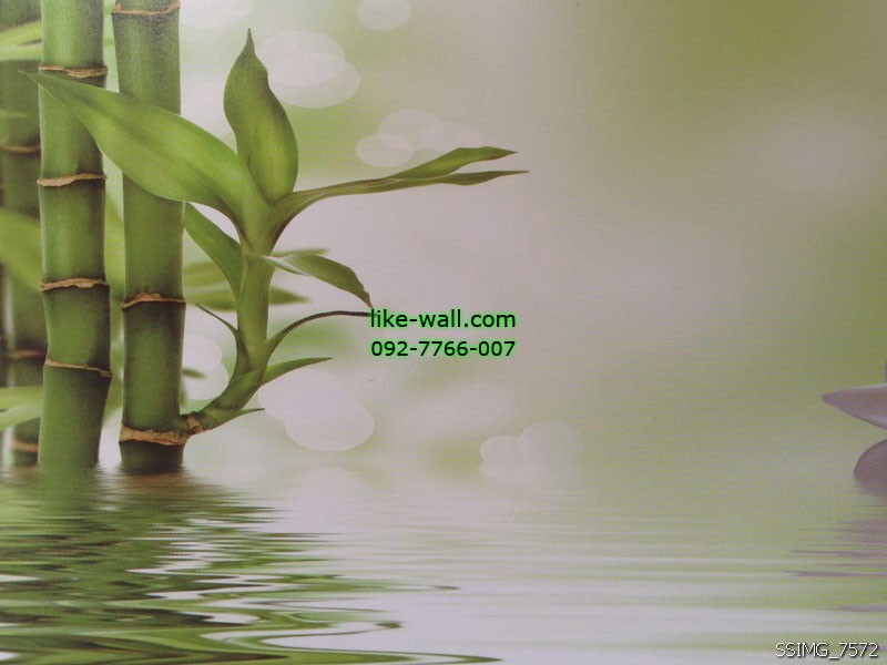 วอลเปเปอร์ติดผนังลาย Bamboo