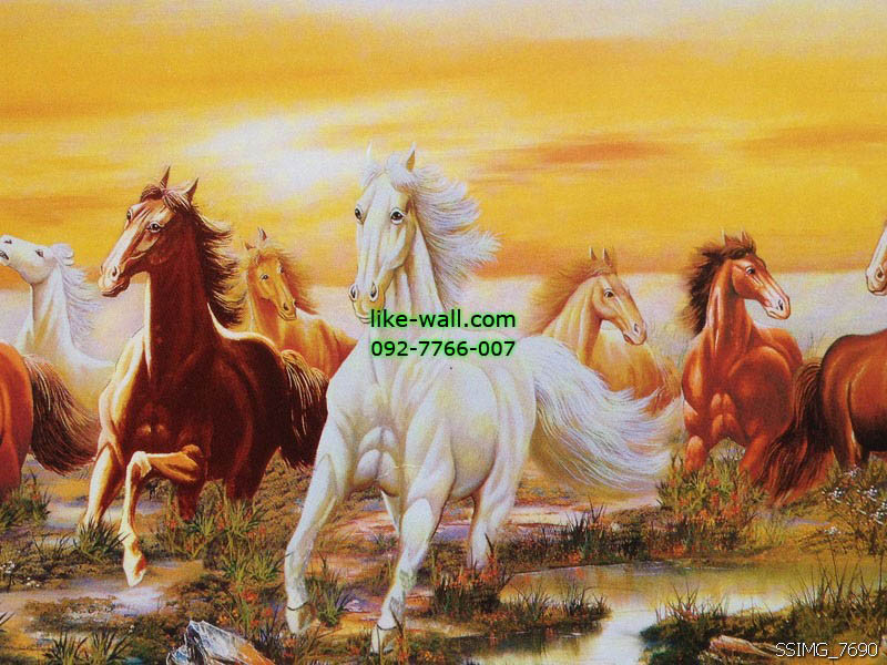 วอลเปเปอร์ติดผนังลาย Galloping horse