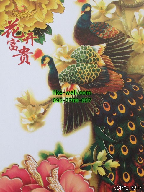 วอลเปเปอร์ติดผนังลาย นกยูง