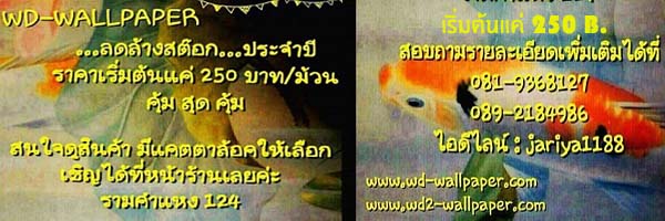 ลดล้างสต๊อก