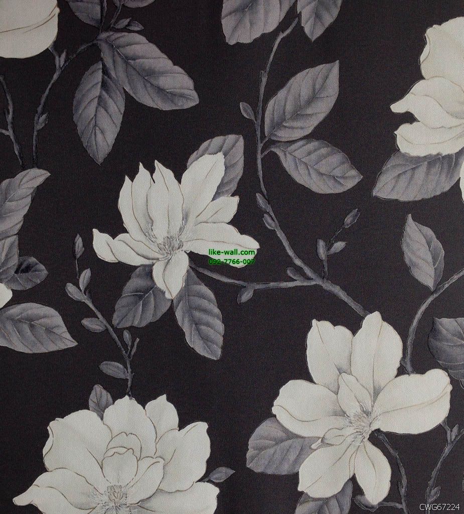 วอลเปเปอร์ติดผนัง ลายดอกกล้วยไม้ สีขาว พื้นหลังสีดำ