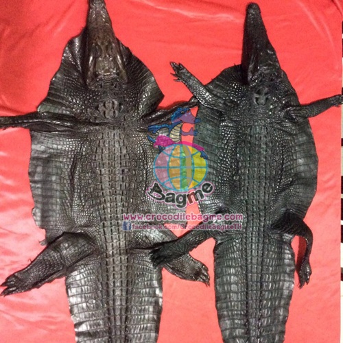 พร้อมส่ง  แผ่นหนังแท้ ฟอกสี