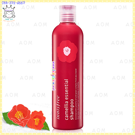 Camellia Essential Shampoo