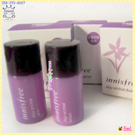 Jeju Orchid Kit