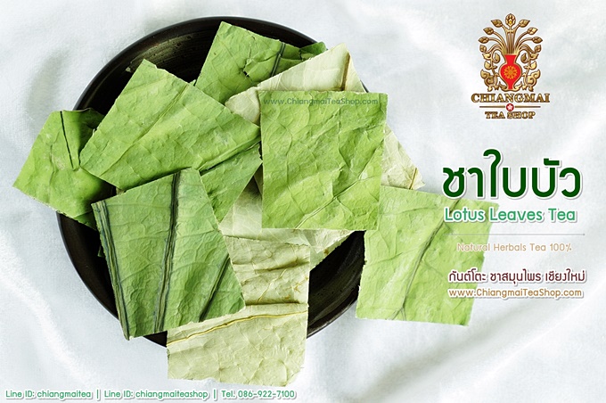 ชาใบบัวหลวงอบแห้ง (Dried Lotus Leaves Tea) 500g.
