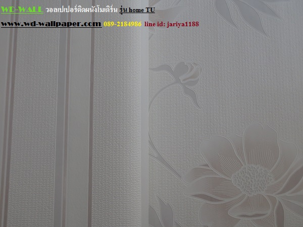 wd2 wallpaperลายโมเดิร์นdesign