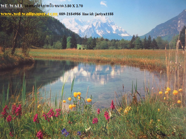 Wd2 Wallpaper 2224615 wd2-wallpaper-2224615