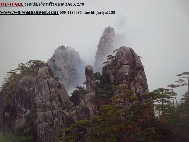 wd2 wallpaperภาพวิว ภาพธรรมชาติ