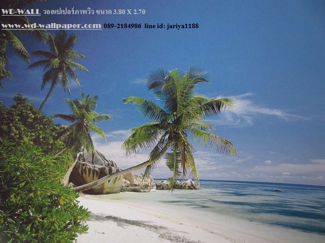wd2 wallpaperภาพวิว ภาพธรรมชาติ