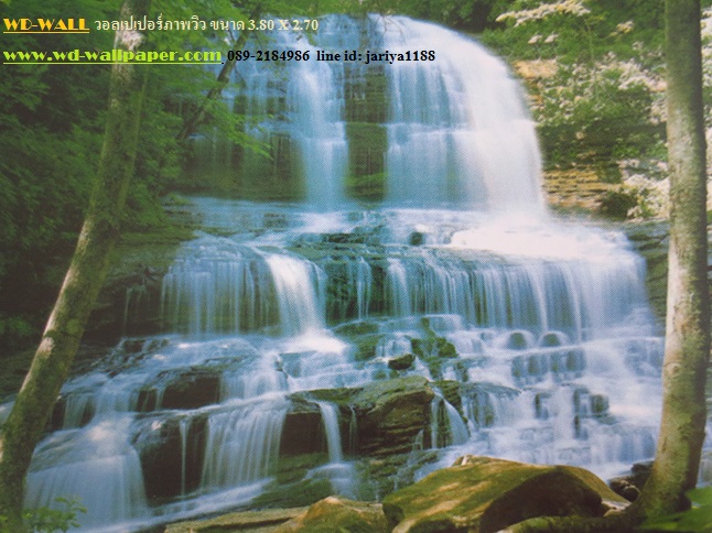 wd2 wallpaperภาพวิว ภาพธรรมชาติ