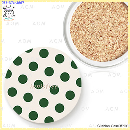 ( 19 )Cushion Case