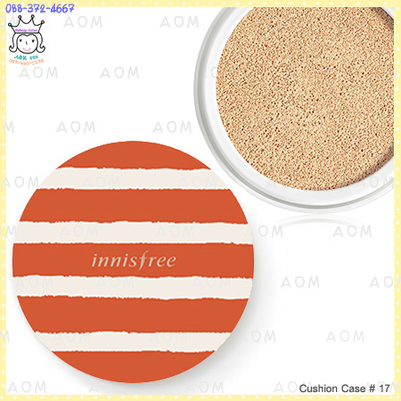 ( 17 )Cushion Case