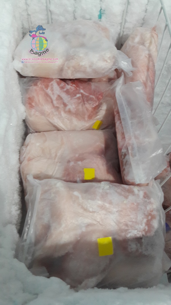 พร้อมส่ง  เนื้อจระเข้สดแช่แข็ง (บ้องตัน)