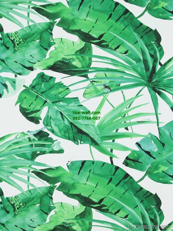 วอลเปเปอร์ติดผนัง ลายใบไม้ธรรมชาติ สีเขียว