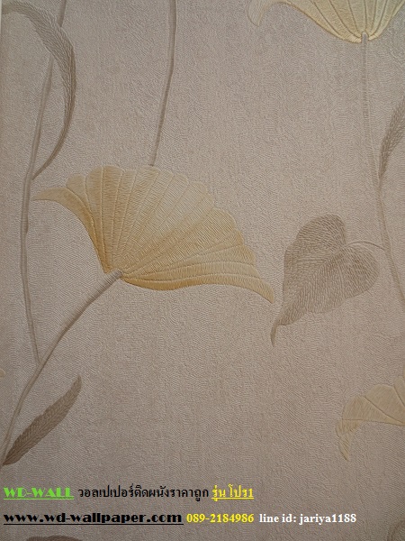 wd2 wallpaper ราคาถูก โปรโมชั่นสุดคุ้ม โปร1