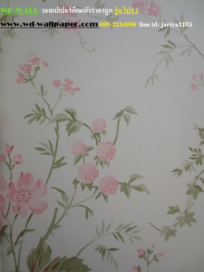 wd2 wallpaper ราคาถูก โปรโมชั่นสุดคุ้ม โปร1