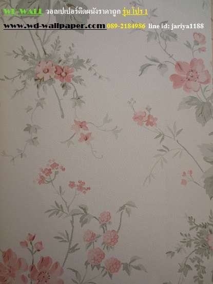 wd2 wallpaper ราคาถูก โปรโมชั่นสุดคุ้ม โปร1
