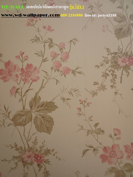 wd2 wallpaper ราคาถูก โปรโมชั่นสุดคุ้ม โปร1