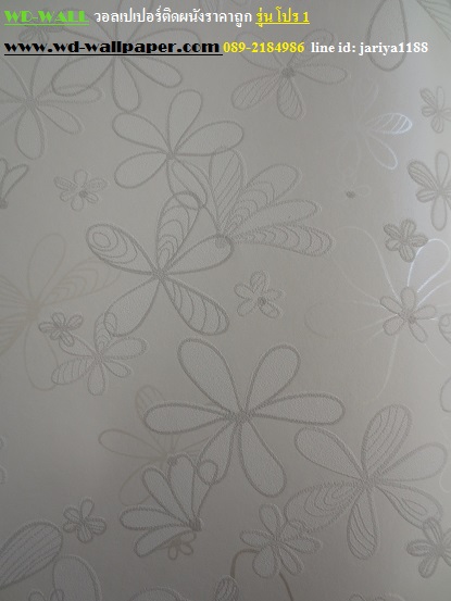 wd2 wallpaper ราคาถูก โปรโมชั่นสุดคุ้ม โปร1