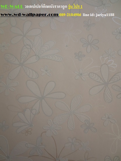 wd2 wallpaper ราคาถูก โปรโมชั่นสุดคุ้ม โปร1