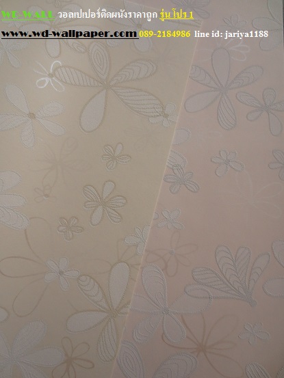 wd2 wallpaper ราคาถูก โปรโมชั่นสุดคุ้ม โปร1