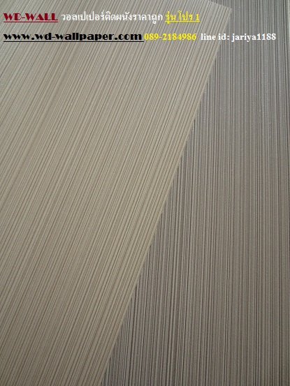 wd2 wallpaper ราคาถูก โปรโมชั่นสุดคุ้ม โปร1