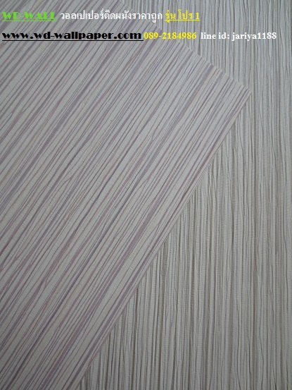 wd2 wallpaper ราคาถูก โปรโมชั่นสุดคุ้ม โปร1