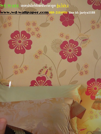 wd2 wallpaper ราคาถูก โปรโมชั่นสุดคุ้ม โปร1