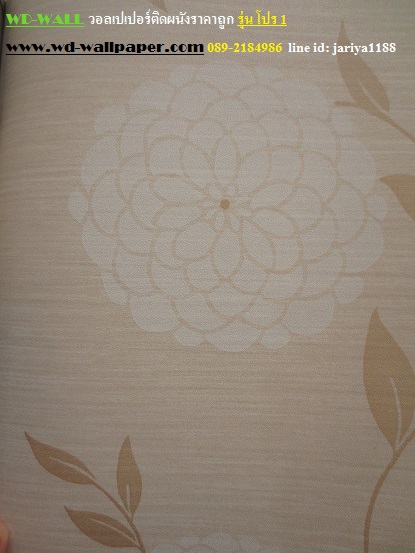 wd2 wallpaper ราคาถูก โปรโมชั่นสุดคุ้ม โปร1