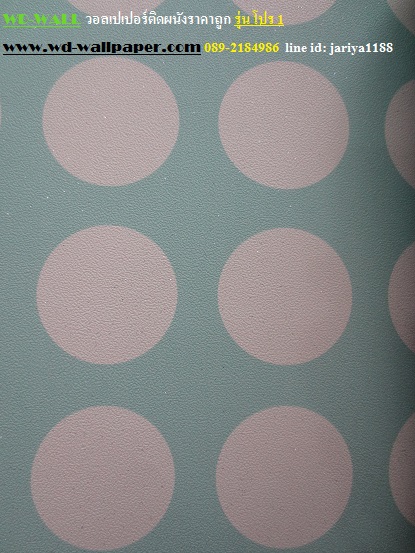 wd2 wallpaper ราคาถูก โปรโมชั่นสุดคุ้ม โปร1