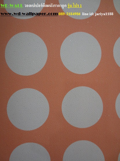 wd2 wallpaper ราคาถูก โปรโมชั่นสุดคุ้ม โปร1