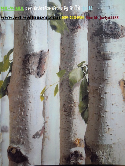 wd2 wallpaper ติดผนัง ลายอิฐ ลายปูนขัดมัน ลายปูนเปลือย ลายหิน ลายไม้ No.2 