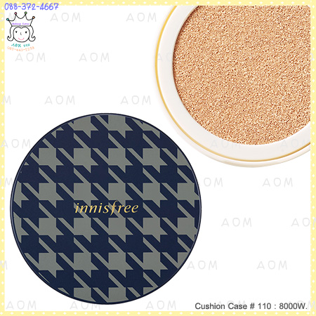 ( 110 )Cushion Case