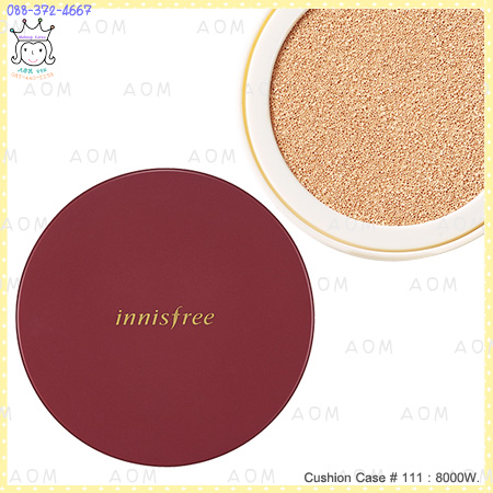 ( 111 )Cushion Case