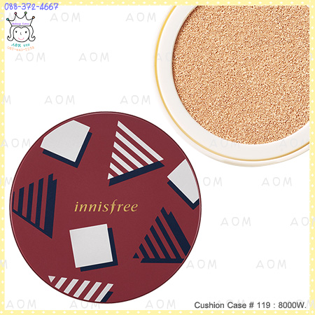 ( 119 )Cushion Case