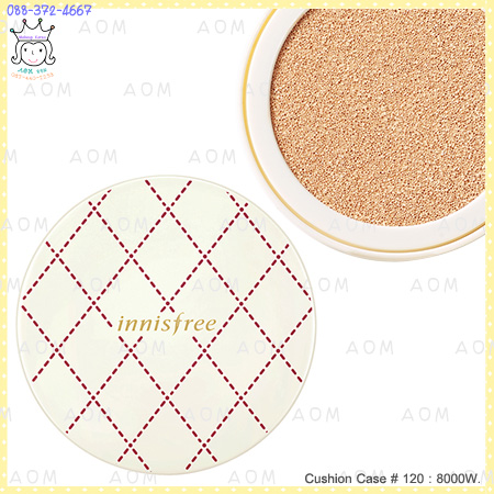 ( 120 )Cushion Case