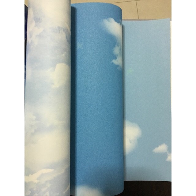 wall ฝ้า เพดาน s กว้าง53cm ยาว10m ม้วน5ตรม 