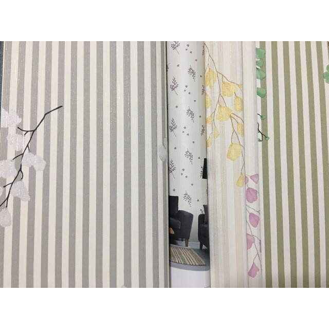 wall ลด60% m กว้าง53cm ยาว10m ม้วน5ตรม