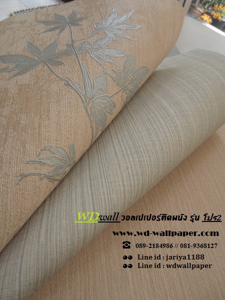 wd2 wallpaper ราคาถูก โปรโมชั่นสุดคุ้ม #โปร2