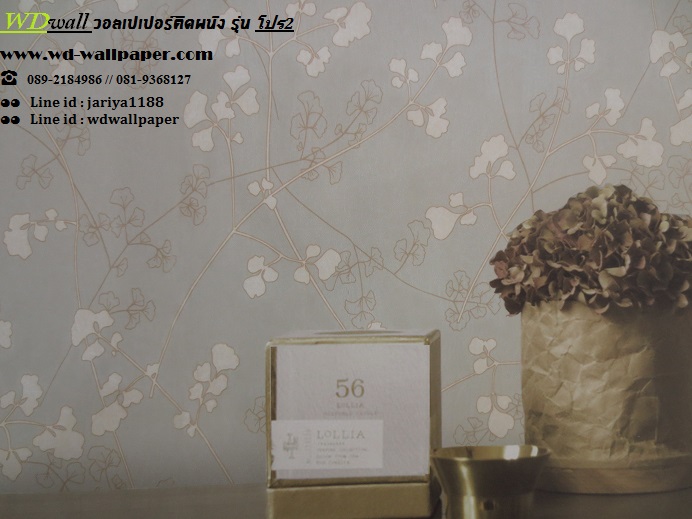 wd2 wallpaper ราคาถูก โปรโมชั่นสุดคุ้ม #โปร2