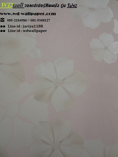 wd2 wallpaper ราคาถูก โปรโมชั่นสุดคุ้ม #โปร2
