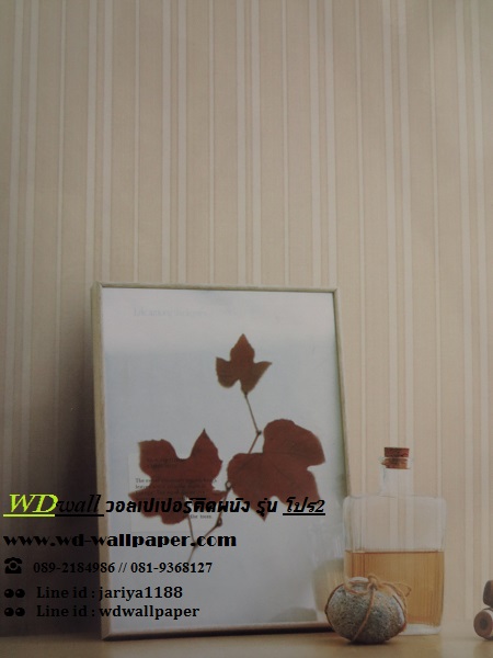 wd2 wallpaper ราคาถูก โปรโมชั่นสุดคุ้ม #โปร2
