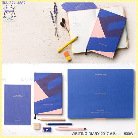 ( Blue )WRITING DIARY 2017