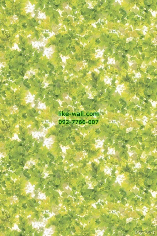 วอลเปเปอร์ ลายใบไม้ สีเขียว