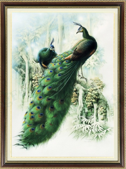 Green Forest Peacock (พิมพ์ลาย)