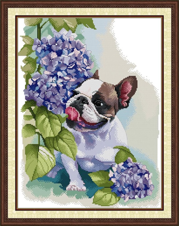 Bulldog (ไม่พิมพ์/พิมพ์ลาย)