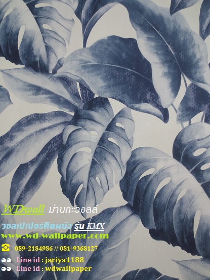 wd2 wallpaper ติดผนัง ลายโมเดิร์นdesign No.1 